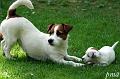 110521_inka alma